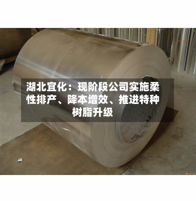 湖北宜化：现阶段公司实施柔性排产、降本增效	、推进特种树脂升级-第1张图片
