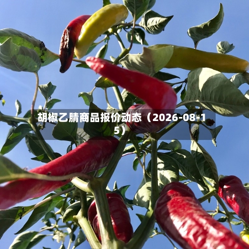 胡椒乙腈商品报价动态(2026-08-15)-第1张图片