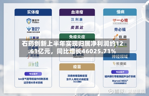 石药创新上半年实现归属净利润约12.61亿元，同比增长46025.71%-第2张图片
