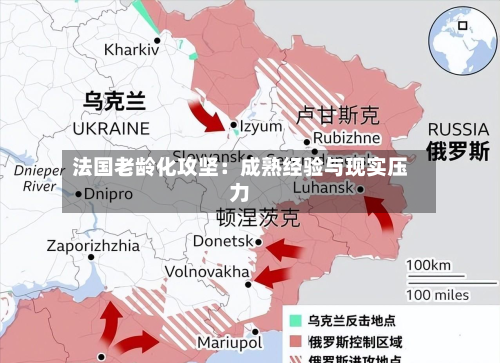法国老龄化攻坚：成熟经验与现实压力