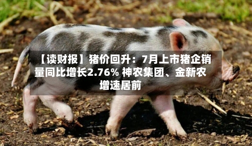 【读财报】猪价回升：7月上市猪企销量同比增长2.76% 神农集团、金新农增速居前-第2张图片