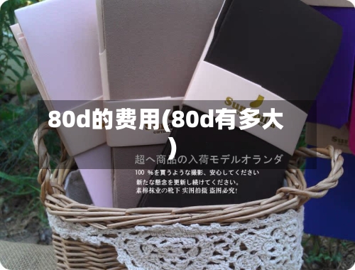 80d的费用(80d有多大)