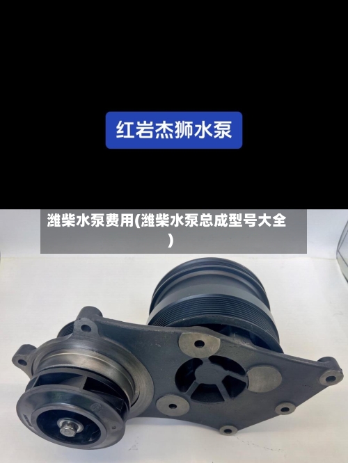 潍柴水泵费用(潍柴水泵总成型号大全)-第2张图片
