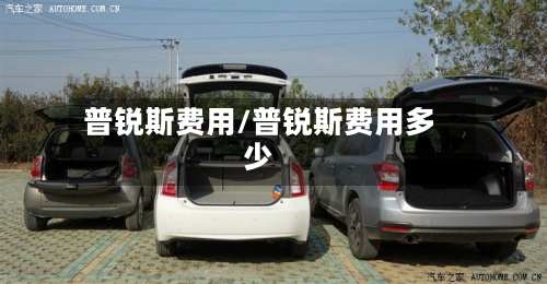 普锐斯费用/普锐斯费用多少-第2张图片