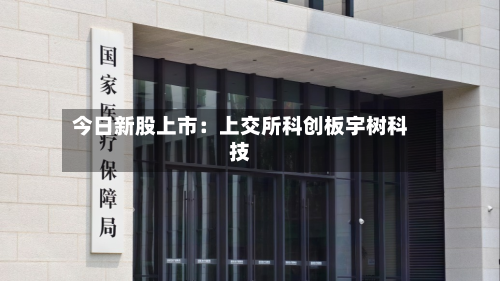 今日新股上市:上交所科创板宇树科技-第3张图片
