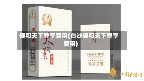 硬和天下尊享费用(白沙硬和天下尊享费用)-第3张图片