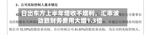 日出东方上半年增收不增利	，汇率波动致财务费用大增1.3倍-第3张图片