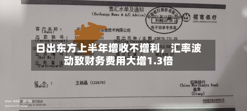 日出东方上半年增收不增利，汇率波动致财务费用大增1.3倍-第2张图片