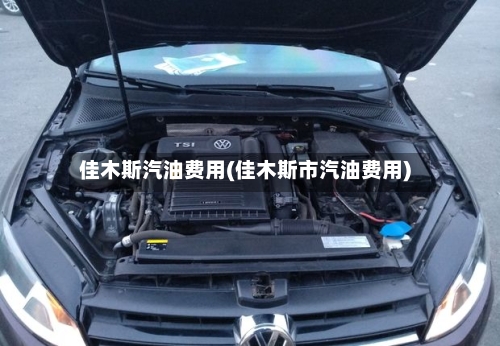 佳木斯汽油费用(佳木斯市汽油费用)
