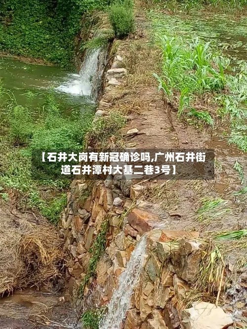 【石井大岗有新冠确诊吗,广州石井街道石井潭村大基二巷3号】