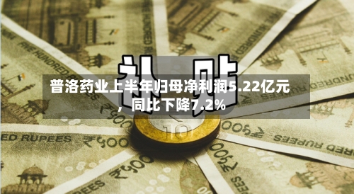 普洛药业上半年归母净利润5.22亿元，同比下降7.2%-第3张图片