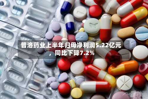 普洛药业上半年归母净利润5.22亿元	，同比下降7.2%-第2张图片