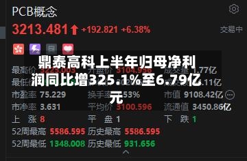 鼎泰高科上半年归母净利润同比增325.1%至6.79亿元-第2张图片