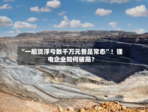 “一船货浮亏数千万元曾是常态”！锂电企业如何破局？-第2张图片