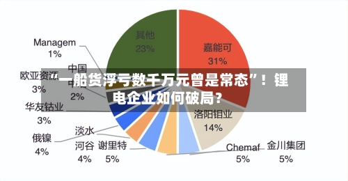 “一船货浮亏数千万元曾是常态	”！锂电企业如何破局？-第3张图片