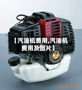 【汽油机费用,汽油机费用及图片】-第2张图片
