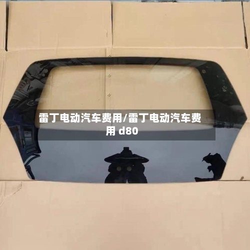 雷丁电动汽车费用/雷丁电动汽车费用 d80-第3张图片