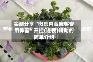 实测分享“微乐内蒙麻将专用神器”开挂(透视)辅助的简单介绍-第2张图片