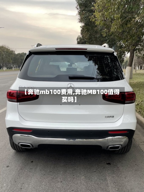 【奔驰mb100费用,奔驰MB100值得买吗】