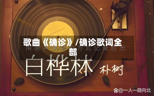歌曲《确诊》/确诊歌词全部