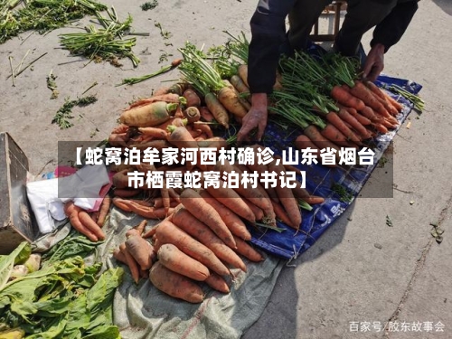 【蛇窝泊牟家河西村确诊,山东省烟台市栖霞蛇窝泊村书记】