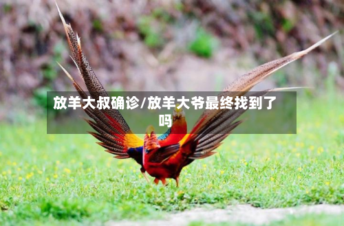 放羊大叔确诊/放羊大爷最终找到了吗-第2张图片
