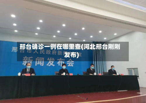 邢台确诊一例在哪里查(河北邢台刚刚发布)