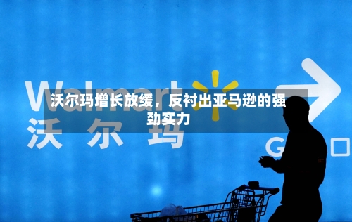 沃尔玛增长放缓，反衬出亚马逊的强劲实力