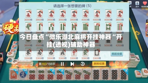 今日盘点“微乐湖北麻将开挂神器“开挂(透视)辅助神器-第3张图片