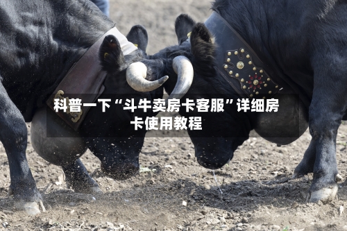 科普一下“斗牛卖房卡客服”详细房卡使用教程-第2张图片
