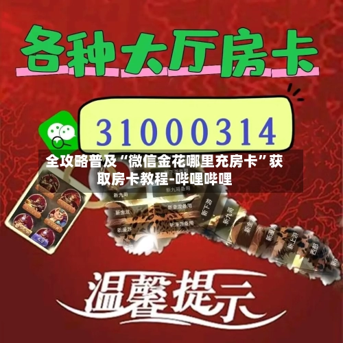 全攻略普及“微信金花哪里充房卡	”获取房卡教程-哔哩哔哩-第3张图片