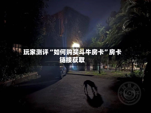 玩家测评“如何购买斗牛房卡”房卡链接获取-第2张图片