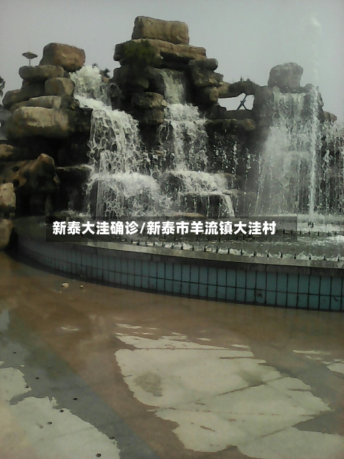 新泰大洼确诊/新泰市羊流镇大洼村