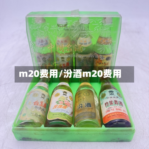 m20费用/汾酒m20费用