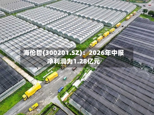 海伦哲(300201.SZ)：2026年中报净利润为1.28亿元