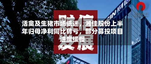 活禽及生猪市场低迷，湘佳股份上半年归母净利同比转亏，部分募投项目进度缓慢-第2张图片