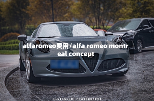 alfaromeo费用/alfa romeo montreal concept