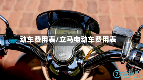 动车费用表/立马电动车费用表