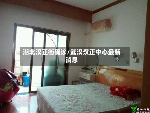 湖北汉正街确诊/武汉汉正中心最新消息-第2张图片