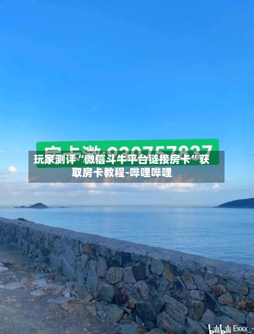 玩家测评“微信斗牛平台链接房卡”获取房卡教程-哔哩哔哩-第3张图片