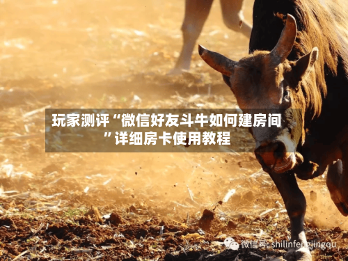 玩家测评“微信好友斗牛如何建房间	”详细房卡使用教程-第3张图片
