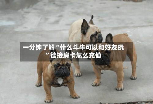 一分钟了解“什么斗牛可以和好友玩”链接房卡怎么充值-第2张图片