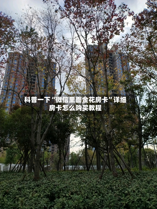 科普一下“微信里面金花房卡”详细房卡怎么购买教程-第3张图片