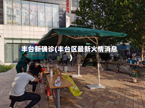 丰台新确诊(丰台区最新火情消息)-第2张图片
