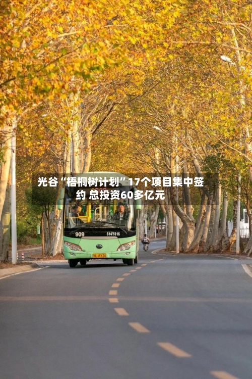 光谷“梧桐树计划”17个项目集中签约 总投资60多亿元-第2张图片