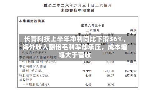 长青科技上半年净利同比下滑36%，海外收入翻倍毛利率却承压，成本增幅大于营收-第3张图片