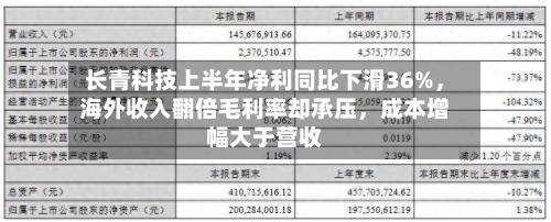 长青科技上半年净利同比下滑36%，海外收入翻倍毛利率却承压，成本增幅大于营收-第2张图片