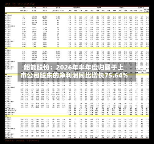 韶能股份：2026年半年度归属于上市公司股东的净利润同比增长75.64%-第3张图片