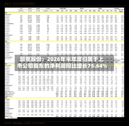 韶能股份：2026年半年度归属于上市公司股东的净利润同比增长75.64%-第1张图片