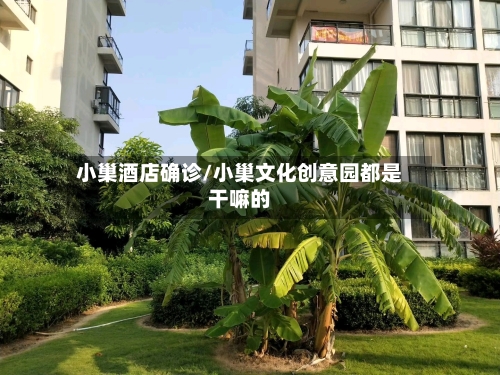 小巢酒店确诊/小巢文化创意园都是干嘛的
